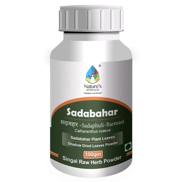 Sadabahar - Image 4