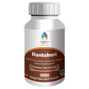 Kantakari