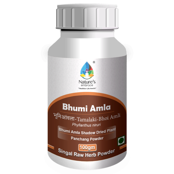 Bhumi Amla - Image 4