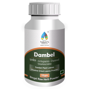Damvel