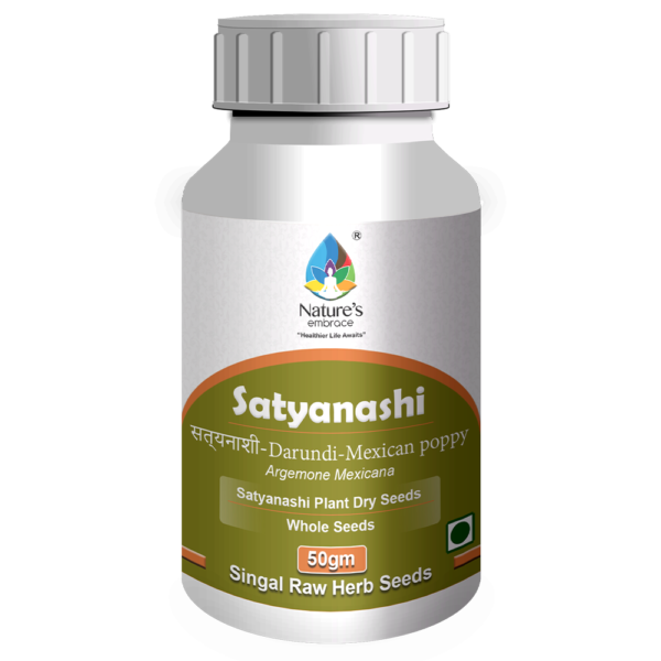 Satyanashi - Image 4