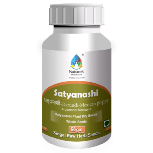 Satyanashi