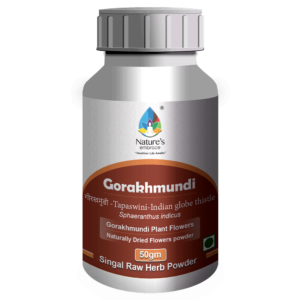 Gorakhmundi