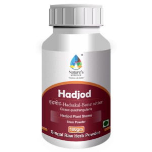 Hadjod