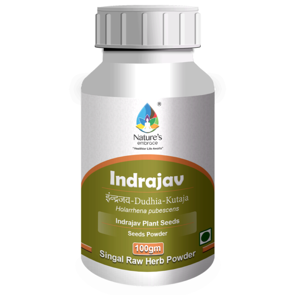 Indrajav - Image 4