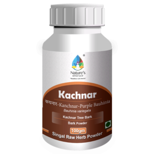 Kanchnar