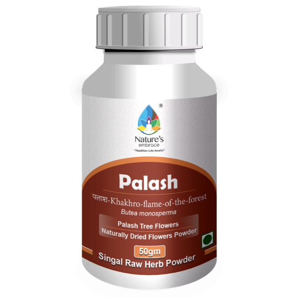 Palash - Image 4