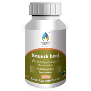 Kaunch Seeds
