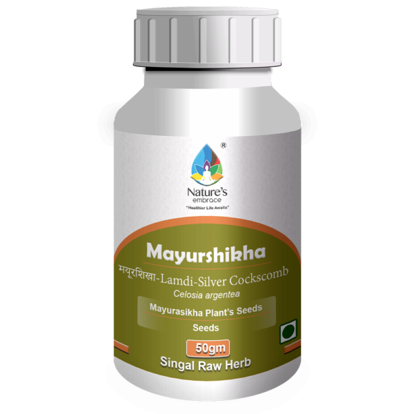 Mayurshikha - Image 4