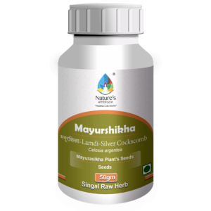 Mayurshikha