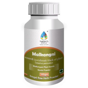 Malkangni