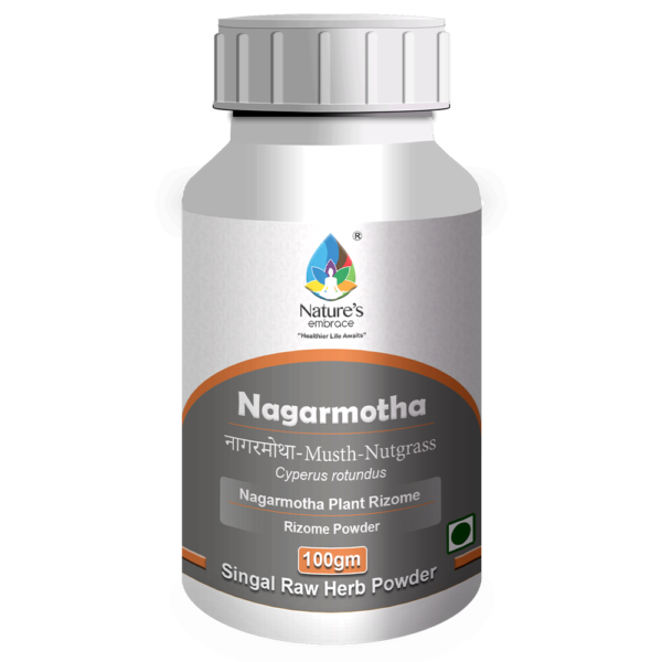 Nagarmotha - Image 4