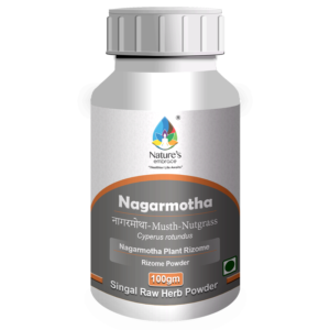 Nagarmotha