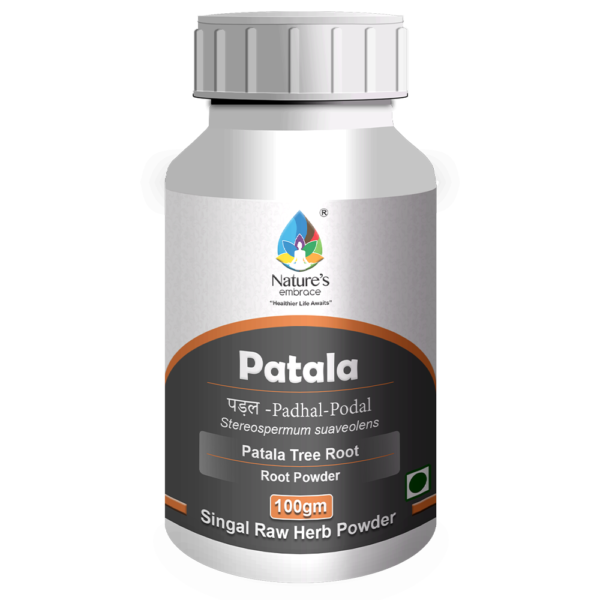 Patala - Image 4
