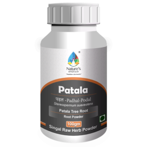 Patala