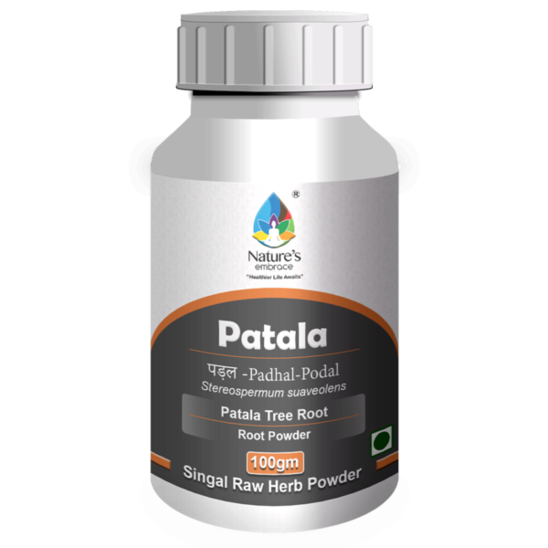 Patala