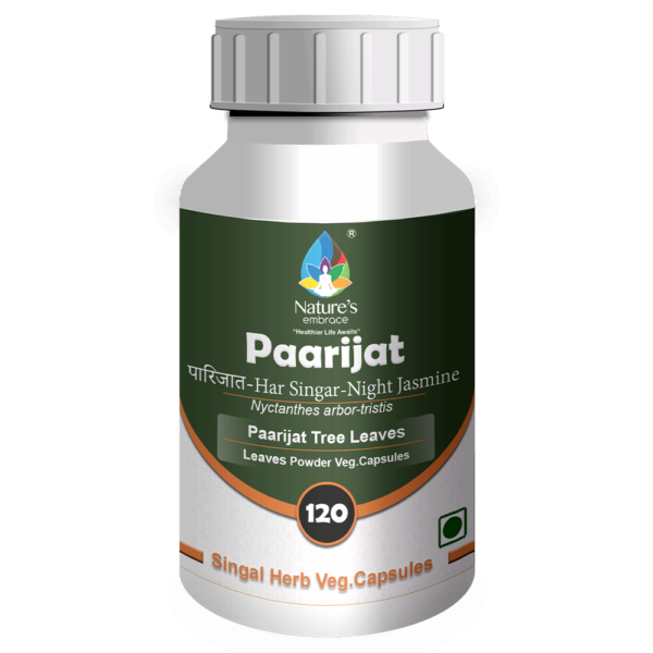 Paarijat