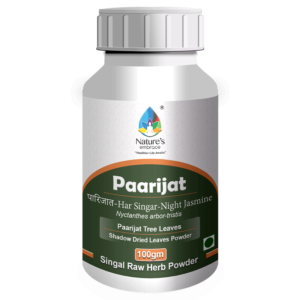 Paarijat