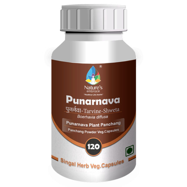 Punarnava