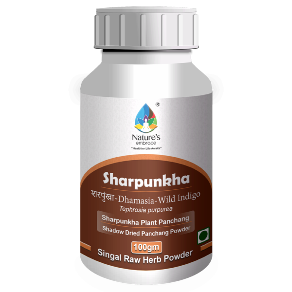 Sharpankha - Image 4