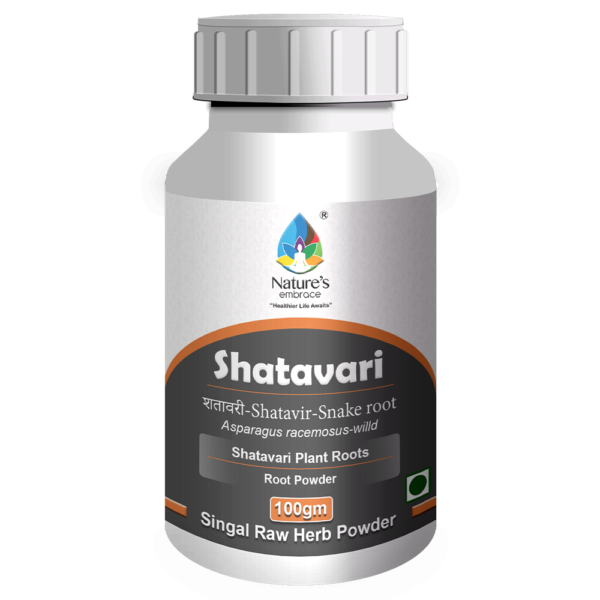 Shatavari root - Image 4