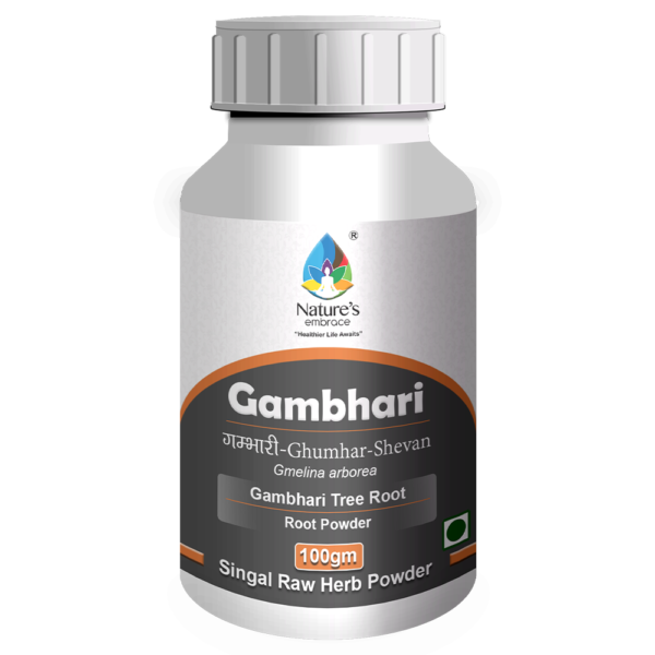 Gambhari - Image 4